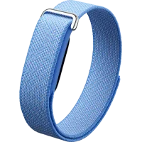 A Google Fitbit Air
